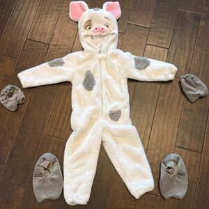 Disney Pua (Moana) Toddler Costume - Size 4T